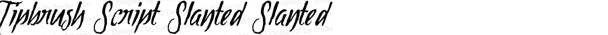 Tipbrush Script Slanted Slanted