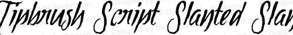 Tipbrush Script Slanted Slanted