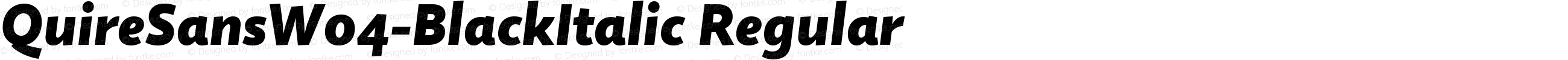 QuireSansW04-BlackItalic Regular