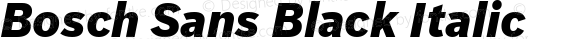 Bosch Sans Black Italic
