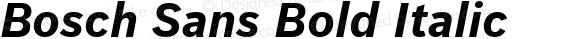 Bosch Sans Bold Italic