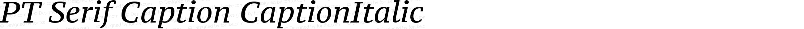 PT Serif Caption CaptionItalic