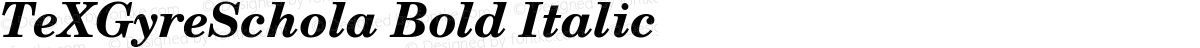 TeXGyreSchola Bold Italic