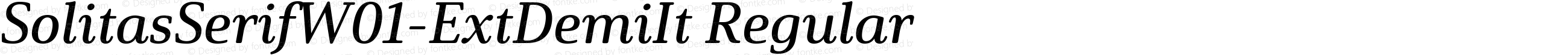 Solitas Serif W01 Ext Demi It