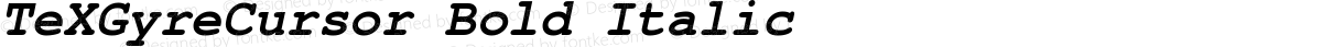 TeXGyreCursor Bold Italic