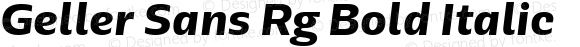 Geller Sans Rg Bold Italic