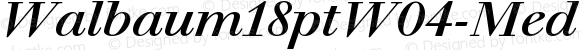 Walbaum18ptW04-MediumItalic Regular