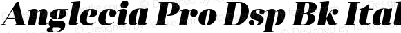 Anglecia Pro Dsp Bk Italic Version 001.000