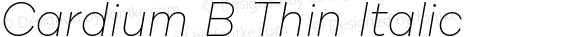 Cardium B Thin Italic