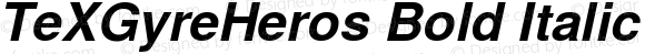 TeXGyreHeros Bold Italic