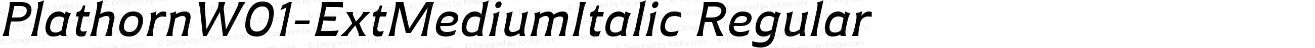 Plathorn W01 Ext Medium Italic