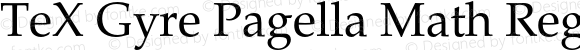 TeX Gyre Pagella Math Regular