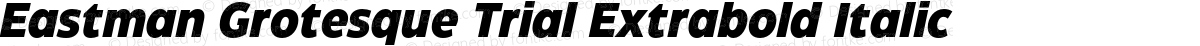 Eastman Grotesque Trial Extrabold Italic