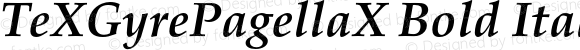 TeXGyrePagellaX Bold Italic