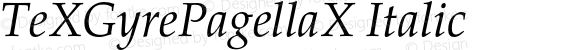 TeXGyrePagellaX Italic