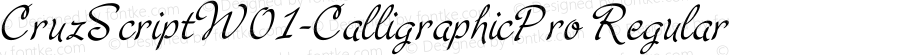 CruzScriptW01-CalligraphicPro Regular Version 1.00