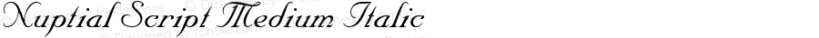 Nuptial Script Medium Italic 001.001