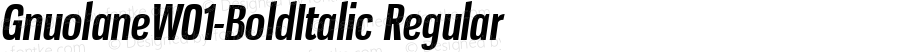 GnuolaneW01-BoldItalic Regular Version 2.20