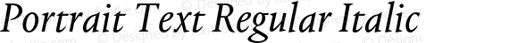 Portrait Text Regular Italic