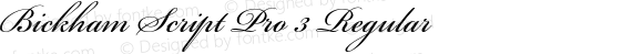 Bickham Script Pro 3 Regular