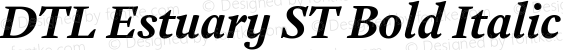 DTL Estuary ST Bold Italic