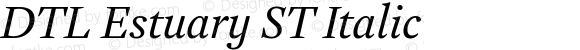 DTL Estuary ST Italic