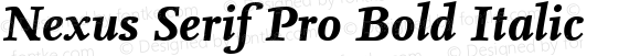 Nexus Serif Pro Bold Italic