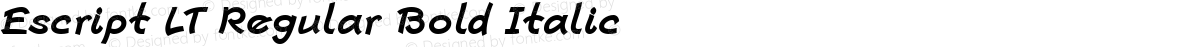 Escript LT Regular Bold Italic