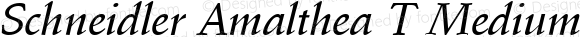 Schneidler Amalthea T Medium Italic 001.005