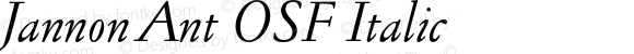 Jannon Ant OSF Italic