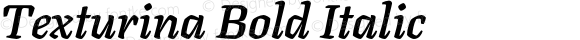 Texturina Bold Italic