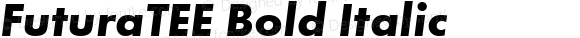 FuturaTEE Bold Italic