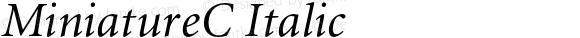MiniatureC Italic