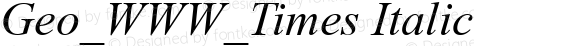 Geo_WWW_Times Italic