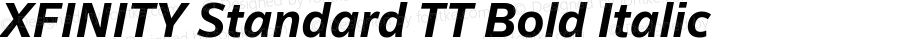 XFINITY Standard TT Bold Italic