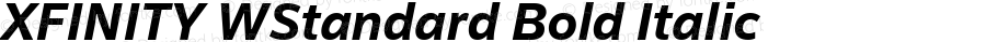 XFINITY WStandard Bold Italic