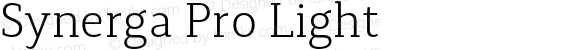 Synerga Pro Light