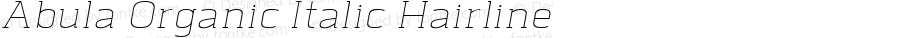 Abula Organic Hairline Italic