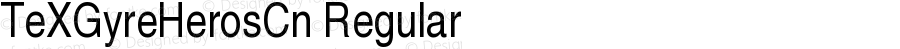 TeXGyreHerosCondensed-Regular