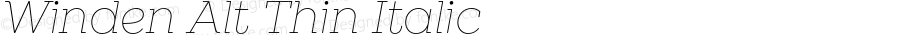 WindenAlt-ThinItalic