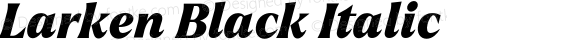 Larken Black Italic