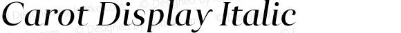 Carot Display Italic