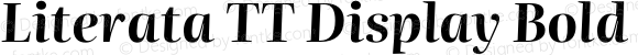 Literata TT Display Bold Italic
