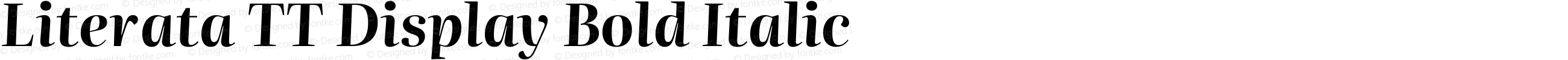 Literata TT Display Bold Italic