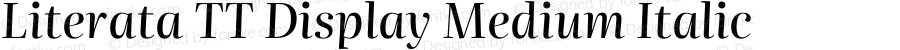 Literata TT Display Medium Italic