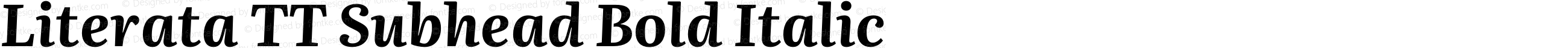 Literata TT Subhead Bold Italic