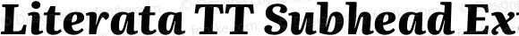 Literata TT Subhead Extrabold Italic