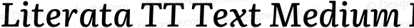 Literata TT Text Medium Italic