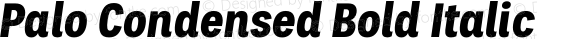 Palo Condensed Bold Italic