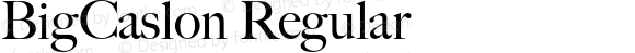 BigCaslon-Rom